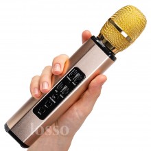 Караоке микрофон Losso K6 Premium золотой (стерео-звук) Караоке микрофон Losso K6 Premium золотой (стерео-звук)